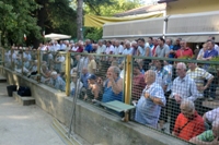 Clicca sulla foto per vedere ingrandimento